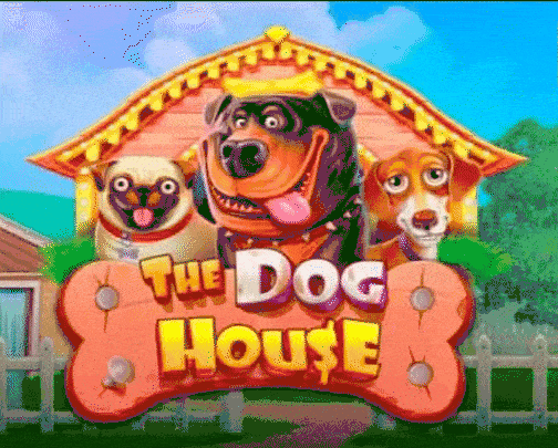 play the dog house in rolldorado casino